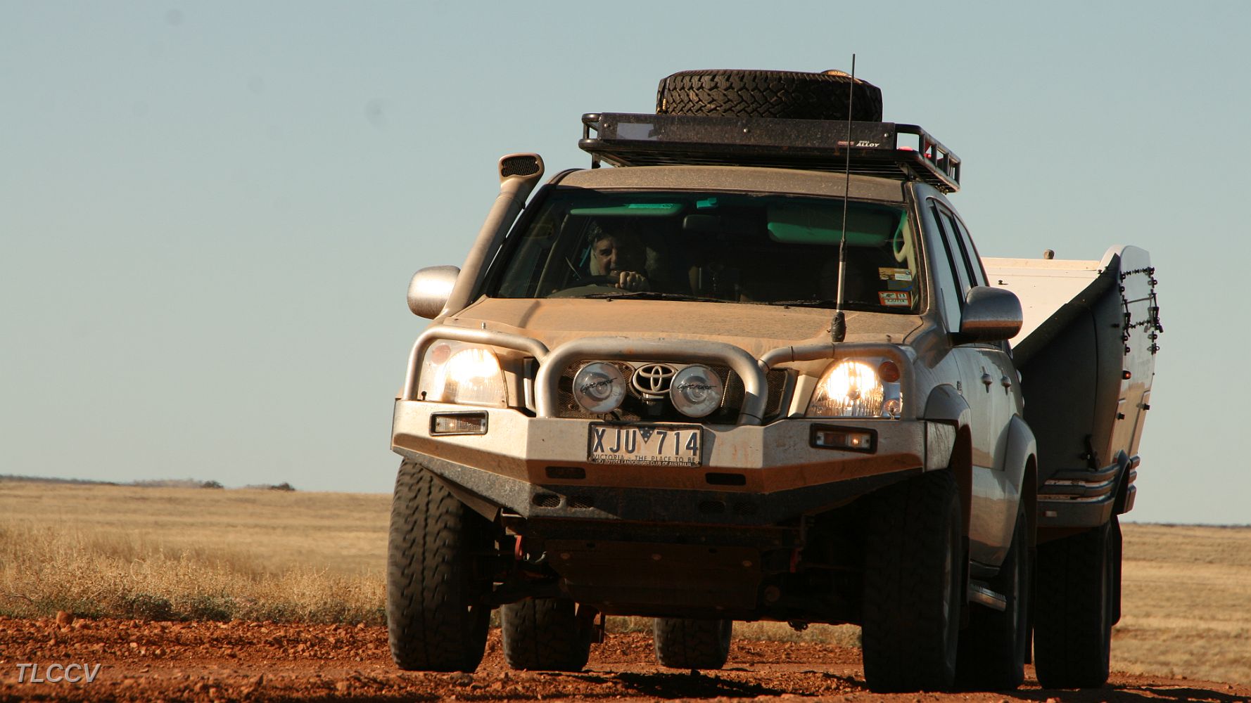 Goldie en route Cameron Corner.JPG